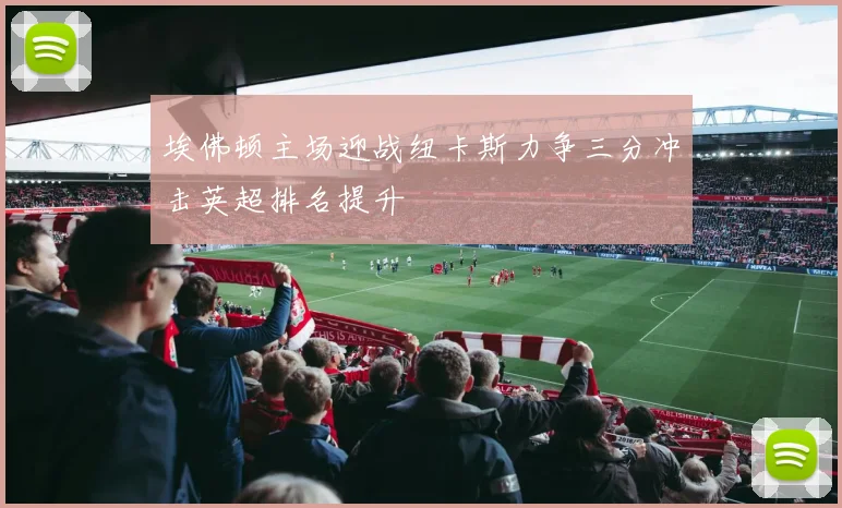 埃佛顿主场迎战纽卡斯力争三分冲击英超排名提升