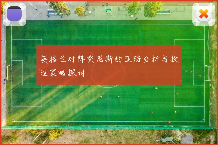 英格兰对阵突尼斯的亚赔分析与投注策略探讨
