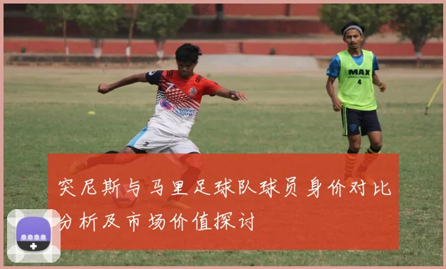 突尼斯与马里足球队球员身价对比分析及市场价值探讨