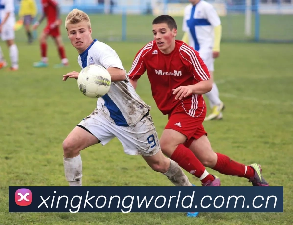 星空体育服务体系